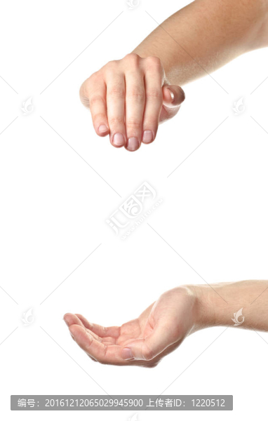 男性的手