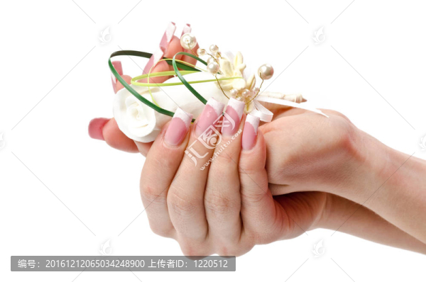 修剪整齊的棕櫚樹