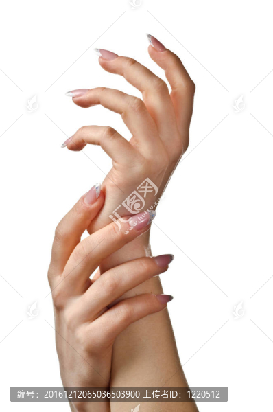 女性的手