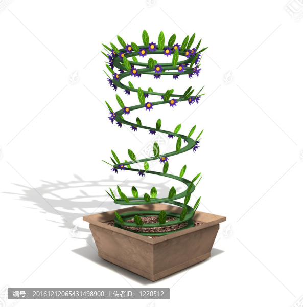 模棱兩可的春天在花盆里