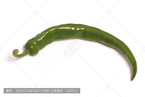 青椒