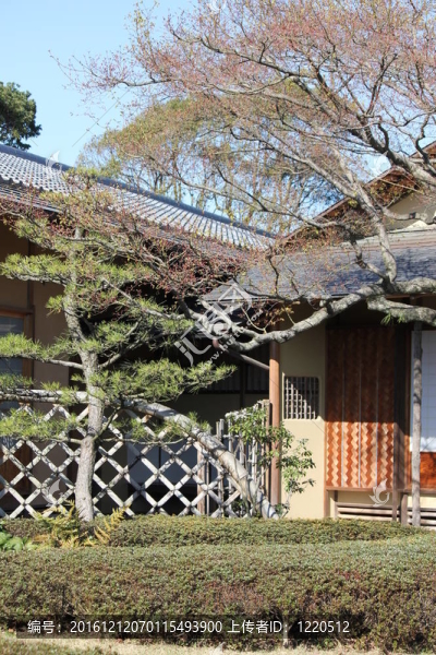 日本的房子
