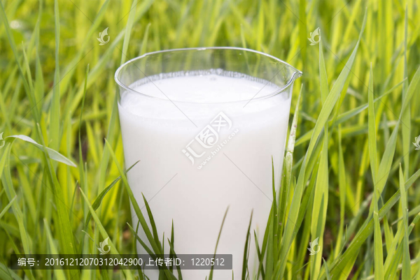 草原鮮奶