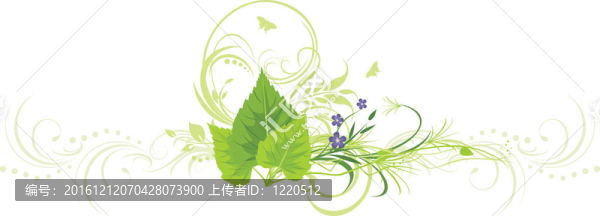 白樺葉；花的小枝