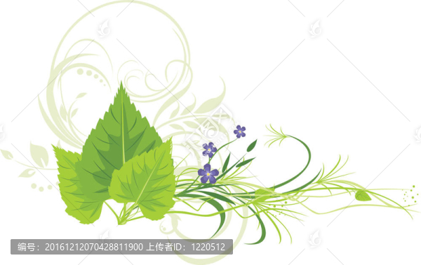 樺樹葉子；有草的花