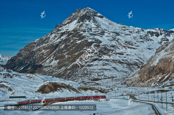 瑞士伯爾尼納；堿性磷酸酶
