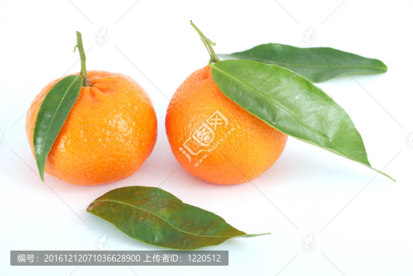 Tangerine夜店