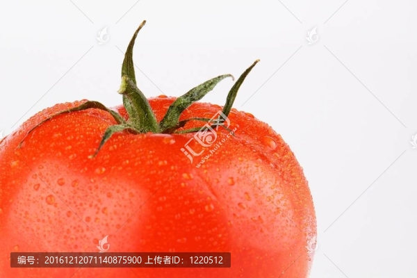 番茄露露