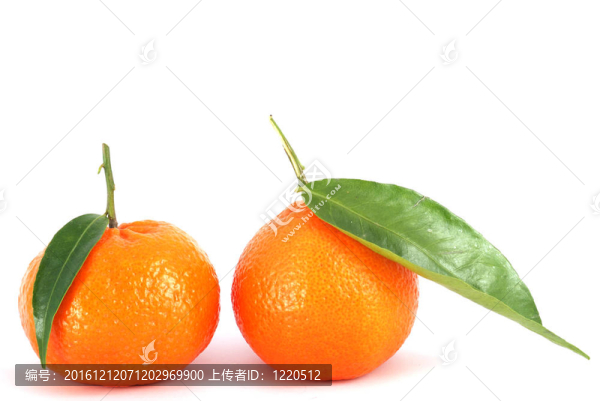 Tangerine夜店