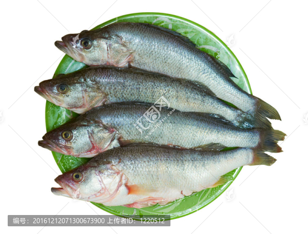 鮮魚棲息在盤子上