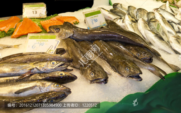 市場上各種鮮魚的種類