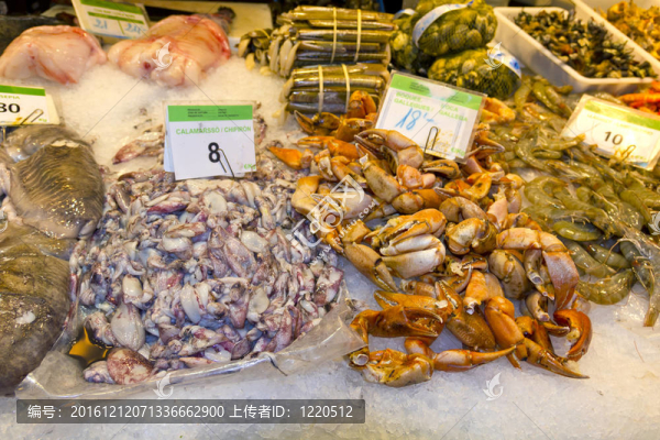市場上各種鮮魚的種類