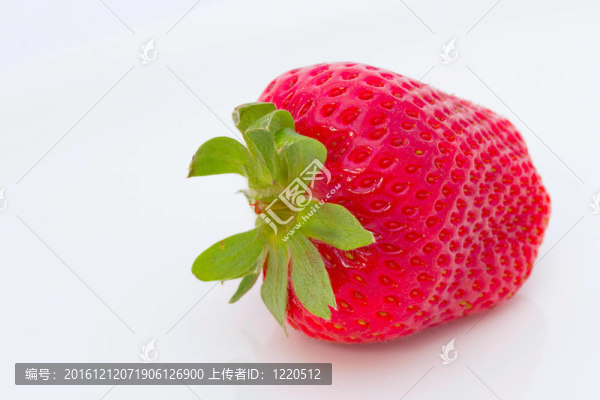 草莓獨奏。