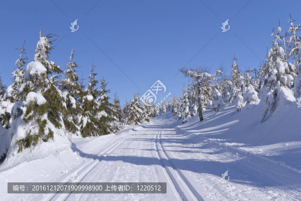 山地滑雪景觀與越野滑雪方式。