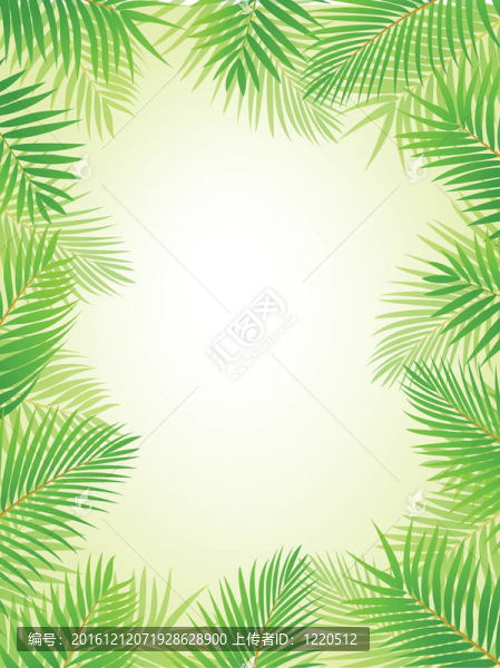 棕櫚葉的背景