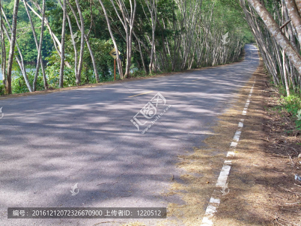 天然隧道