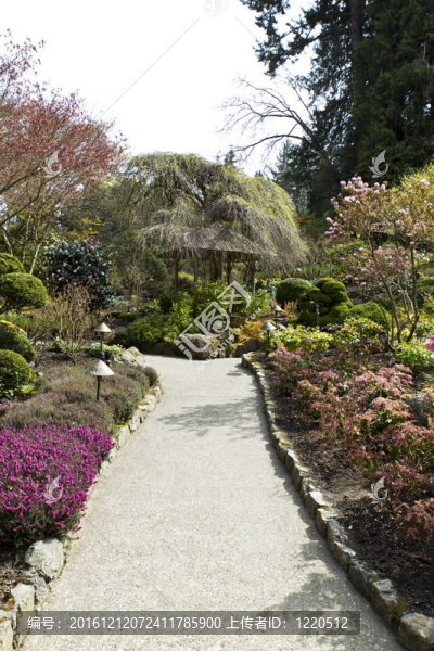 日本庭園小徑小屋