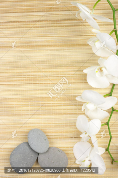 SPA的概念