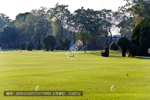 在皇宮里的公園里剪成動(dòng)物形象的灌木叢