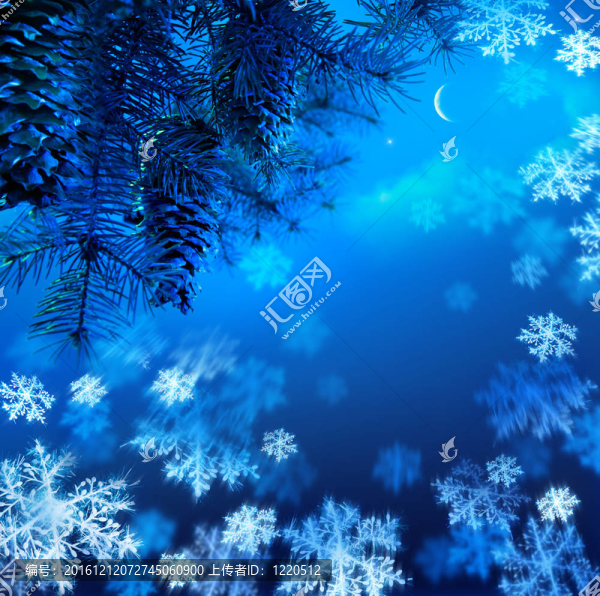 一個(gè)藍(lán)色夜空背景下的圣誕樹(shù)藝術(shù)樹(shù)枝
