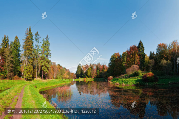 池塘