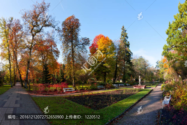 秋天的公園