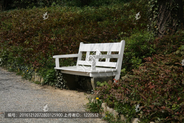 公園里的白色長椅