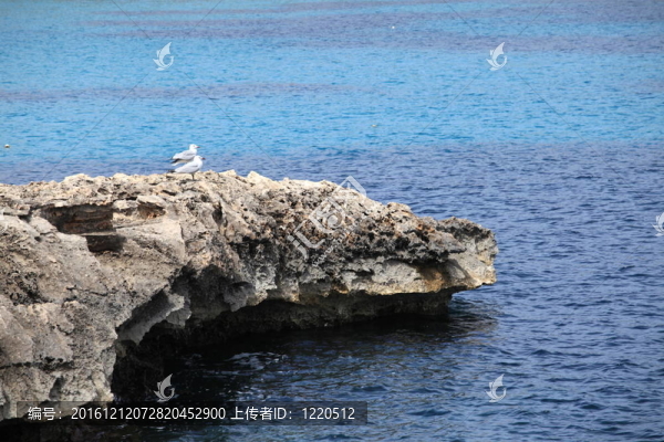 伊比薩海岸7