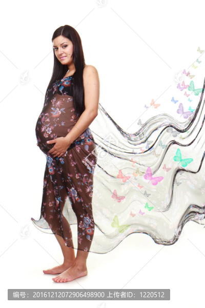 美麗的孕婦花