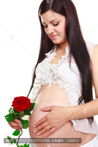 美麗的孕婦花