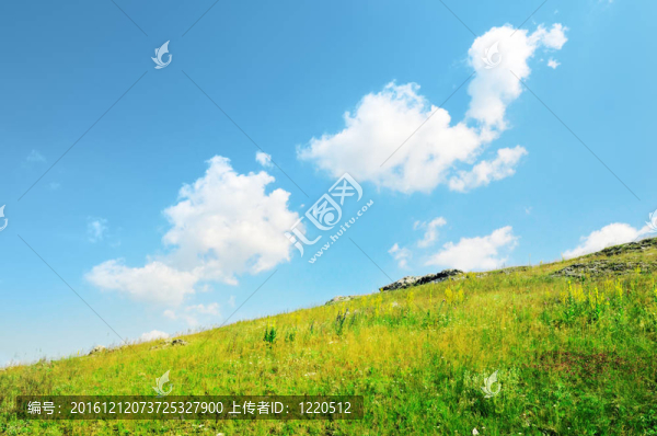 草地