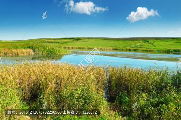湖
