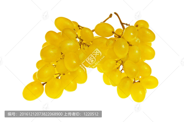 葡萄