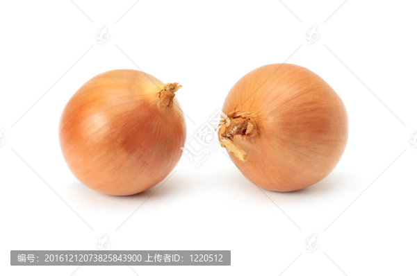洋蔥