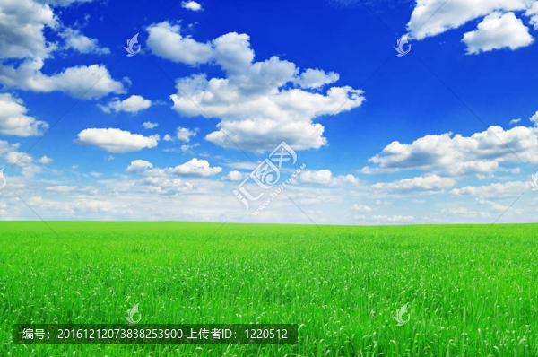 領(lǐng)域