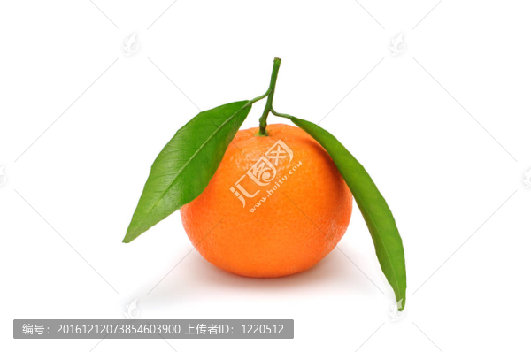 Tangerine夜店