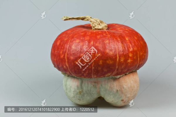 裝飾南瓜