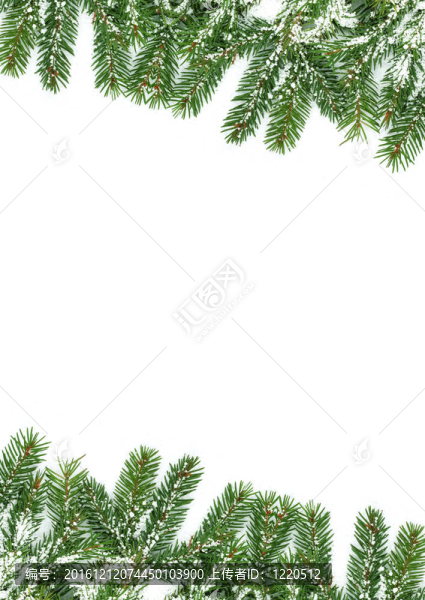 白色背景隔離雪的圣誕框架