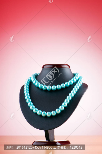 時(shí)尚概念配項(xiàng)鏈