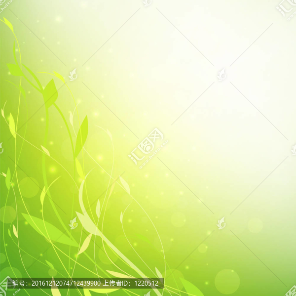 綠色植物的背景