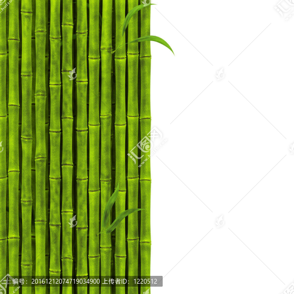竹