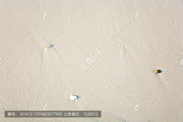 美麗的結(jié)構(gòu)；沙灘上的線條，樹葉的排列；和諧的石頭給人以藝術(shù)家的自然的印象