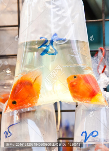市場上出售的魚袋