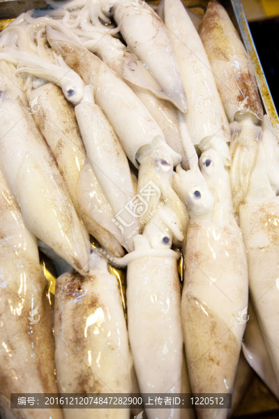 亞洲魚(yú)類(lèi)市場(chǎng)提供全淡水魚(yú)