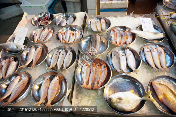 亞洲魚類市場(chǎng)提供全淡水魚