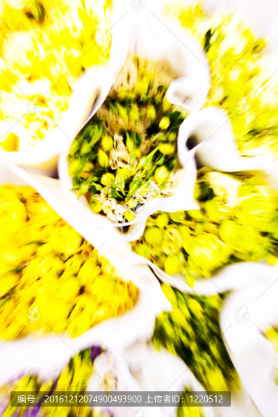 花市場上的美麗花朵