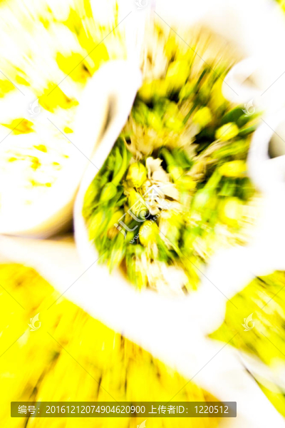 花市場(chǎng)上的美麗花朵
