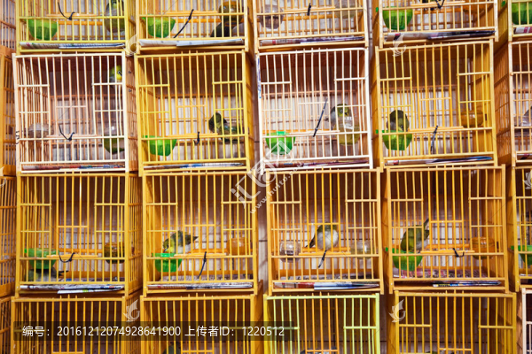 香港鳥類市場中的鳥籠