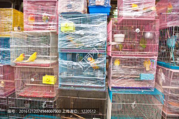 香港鳥類市場(chǎng)中的鳥籠