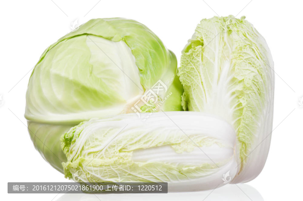 新鮮的卷心菜